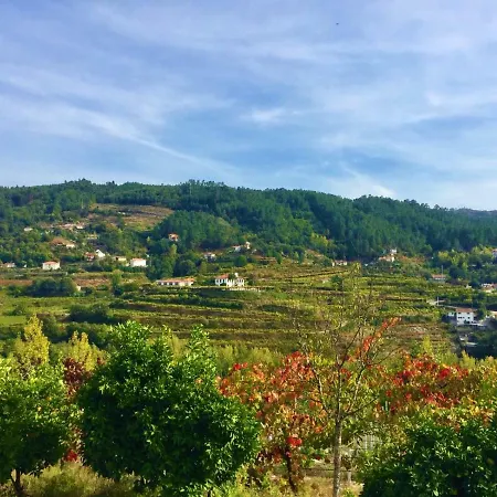 Villa Quinta Do Peso Amarante Esterno foto